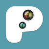 PIP Camera