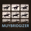 Muybridgizer