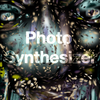 PhotoSynthesizer