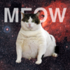 CatPaint